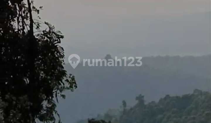 Munduk Heaven Highlands Estate, A Rare Investment Canvas Above Bali's Coolest Horizons