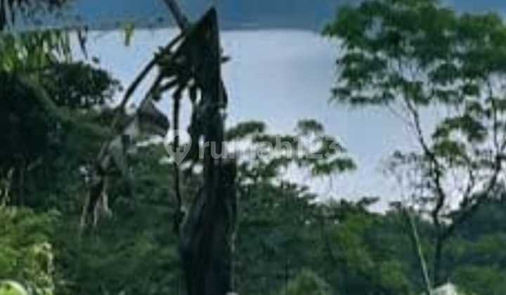 Mahkota Permata Tamblingan - 9,10 Hektar dengan Pemandangan Tanpa Batas Mahkota Permata Tamblingan - 9,10 Hektar dengan Pemandangan Tanpa Batas