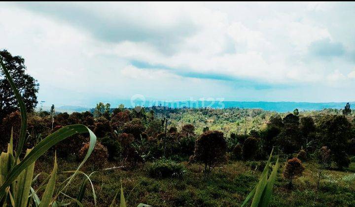 Investment Opportunity Freehold Land 70 Are With Unobstructed Views In Gessing Bedugul, Bali 2