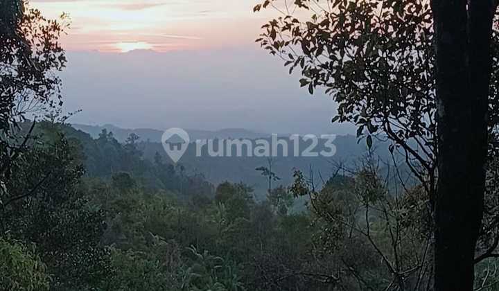Freehold Land Gesing Buleleng Bali Great Views of the Ocean, Mountains and Sunset 2