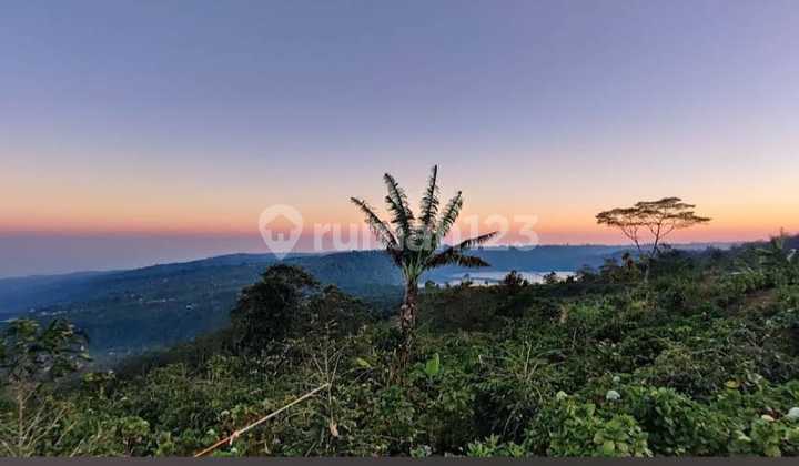 Majestic Highland Bukit Pucuk Munduk Breathtaking Views of Bedugul Natural Beauty
