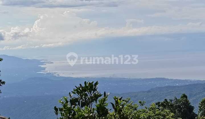 Beautiful Ocean View Housing Development Land In Munduk, Buleleng Regency Bali Beautiful Ocean View Housing Development Land In Munduk, Buleleng Regency Bali