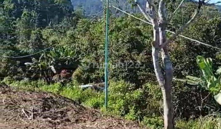 Amazing 2 Hectares Freehold Land With Unobstructed Views In Gessing Bedugul, Bali Island. 2