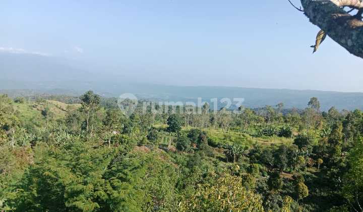 Dijual: 2,15 Hektar Tanah Strategis di Gesing – Bedugul, Bali