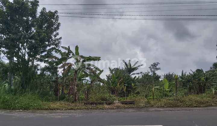 A Timeless Investment In The Highlands Of Munduk, Panoramic Lake And Hillside Land On The Munduk-Wanagiri Highway A Timeless Investment In The Highlands Of Munduk, Panoramic Lake And Hillside Land On The Munduk-Wanagiri Highway