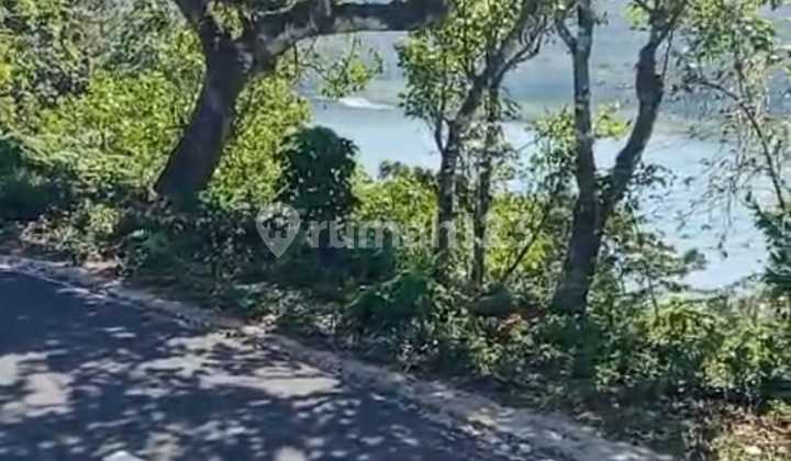 Mahkota Permata Tamblingan - 9,10 Hektar dengan Pemandangan Tanpa Batas Mahkota Permata Tamblingan - 9,10 Hektar dengan Pemandangan Tanpa Batas