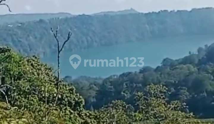 High-Return Highland Land In Munduk, Perfect For Eco-Resort Development
