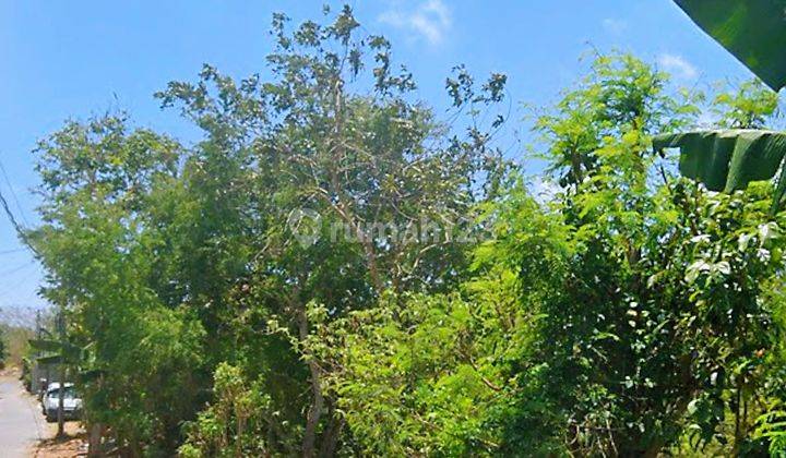 Freehold Land Ungasan 500m2 Perfectly Suitable For Villa Development 1