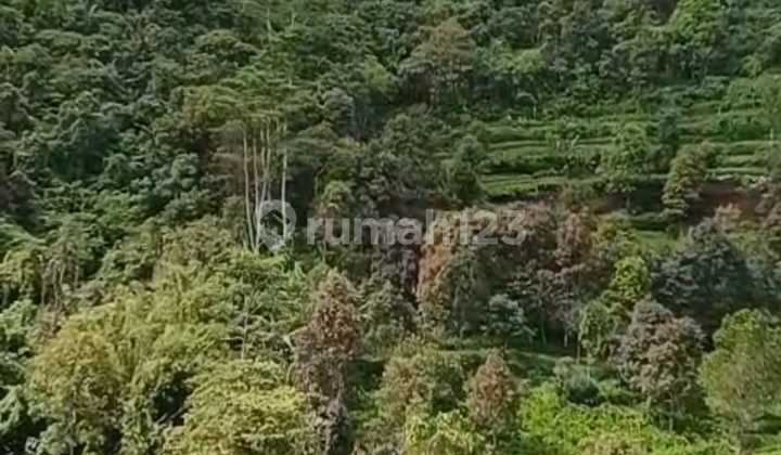 The Pinnacle of Bukit Pucuk with Panoramas Beyond Imagination