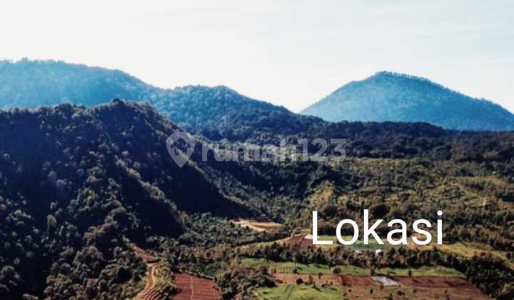 Rare Investment Gem in Bali’s Highland Paradise, Freehold Land with Panoramic Views in Gesing – Bedugul 1