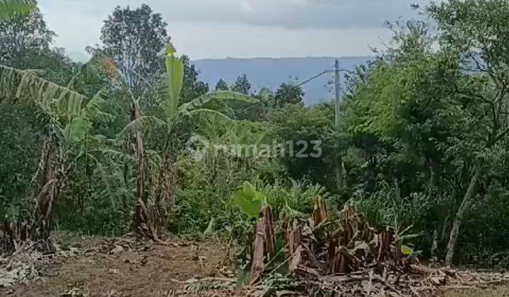 Investment Opportunity Freehold Plot Of Land With Unobstructed Views In Gessing Bedugul, Bali Island. 1