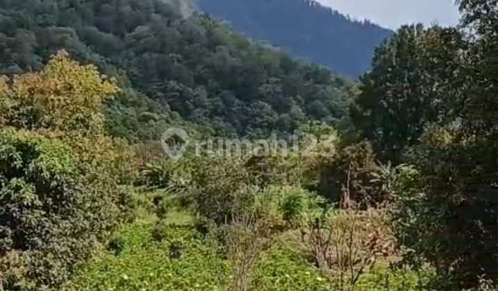 Enchanting Haven on Pucuk Hill: Your Gateway to Bali's Timeless Serenity Enchanting Haven on Pucuk Hill: Your Gateway to Bali's Timeless Serenity