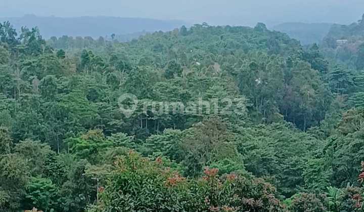 Elevated Paradise in Gesing – Bedugul: Valley, Mountain & Ocean Views Available 65–150 ARE Freehold Land 2