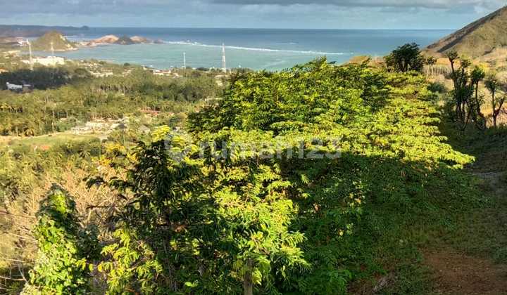 Business Opportunity Close to the Tourist Attractions Kuta Beach Lombok, Mandalika NTB