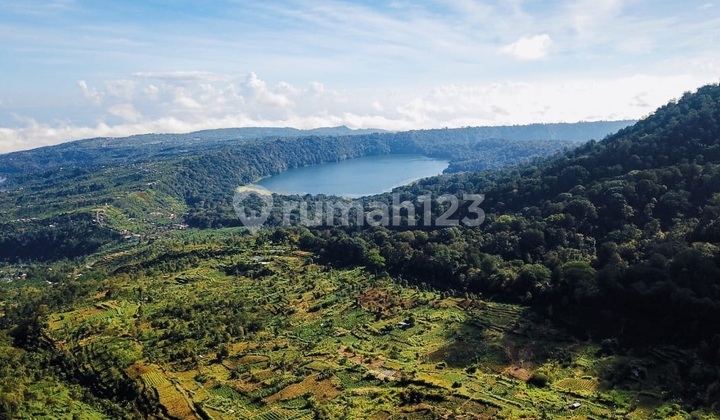 Crowning Jewel of Bedugul: 6.1 Hectares of Endless Horizons In Gessing Munduk Bedugul