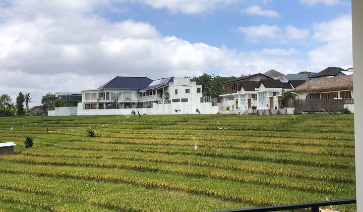 Beautiful Brand New Two-Bedroom Private Residence Near Pererenan and Canggu Area