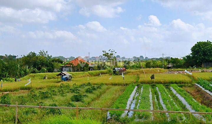 Beautiful Land Close To Petitenget And Seminyak Area Perfect For Villa Or Working Spaces In Kerobokan  1