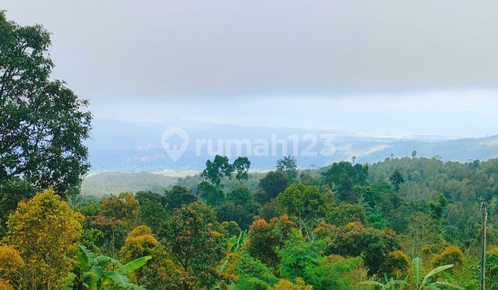 Gessing - Bedugul Harmony 1.43 Hectares Framed by Mountains, River & Sunset
