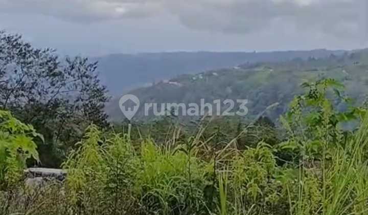 An Elevated Investment In Bukit Pucuk, Munduk, Where Lake, Mountains & Sunset Meet An Elevated Investment In Bukit Pucuk, Munduk, Where Lake, Mountains & Sunset Meet