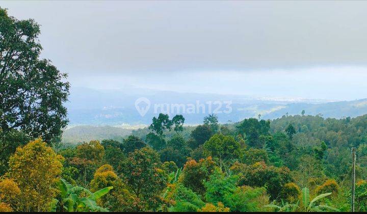 Investment Opportunity Freehold Land 70 Are With Unobstructed Views In Gessing Bedugul, Bali 1