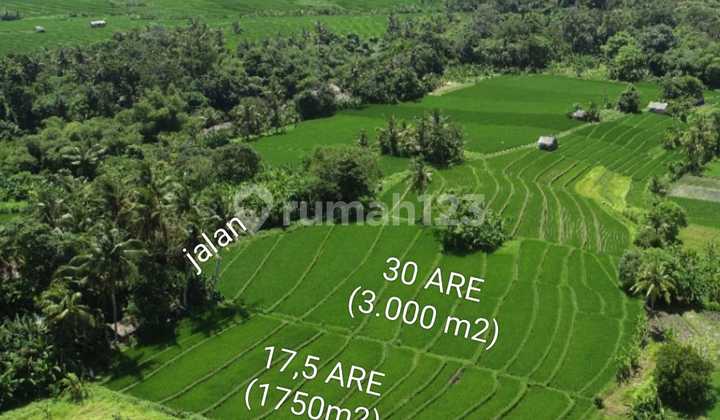 Nyanyi Prime Living - Residential Land in a Rapidly Growing Tourism Zone Nyanyi Prime Living - Residential Land in a Rapidly Growing Tourism Zone