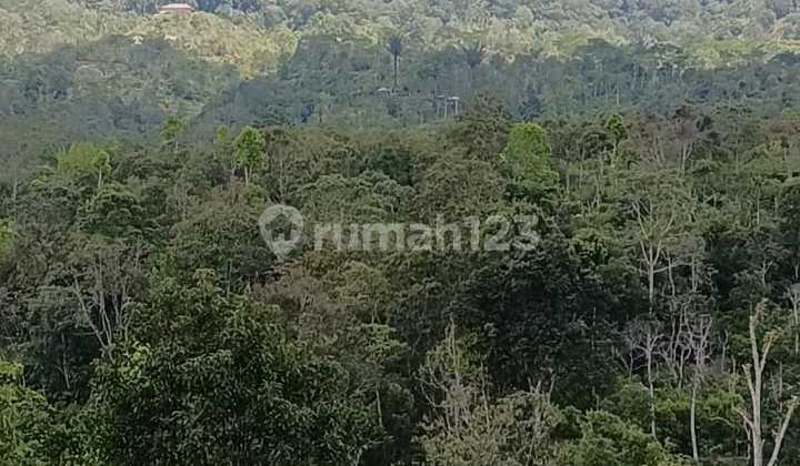 Property Investment Gesing - Bedugul Hilltop Amazing view Mountain and Sunset  2