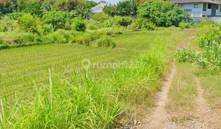 Beautiful Location Beachside Gianyar Bali Good For Investment 2