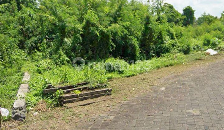 Beautiful Land with Rice Field & River Views in Munggu Beautiful Land with Rice Field & River Views in Munggu