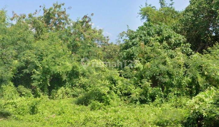 Beautiful Location Freehold Land Munggu Badung Perfect For Villa Development  2