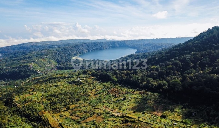 A Rare Highland Investment At The Foot Of Mount Shangyang - Munduk, Bedugul