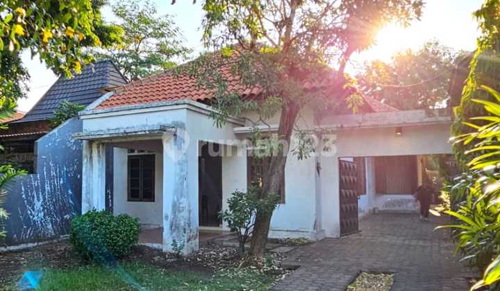 Komersial Rumah Pusat Surabaya Banyak Ruangan Cocok Cafe Kantor 1