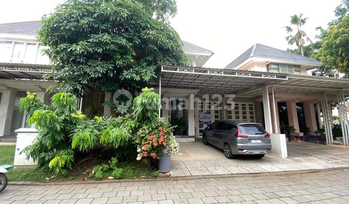 Termurah Minimalis Sudah Renovasi Ciamik Stamford Citraland Utama