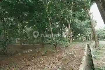 Kavling Pinisi Permai.hadap Danau.di Pantai.indah Kapuk.jakarta Utara Kavling Pinisi Permai.hadap Danau.di Pantai.indah Kapuk.jakarta Utara