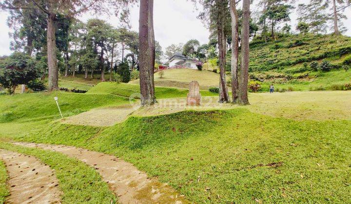 Tanah lokasi terawat di ciloto puncak 2