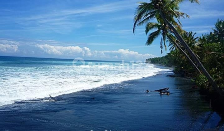 Kavling Beach.jembrana.di.pekutatan.bali Kavling Beach.jembrana.di.pekutatan.bali