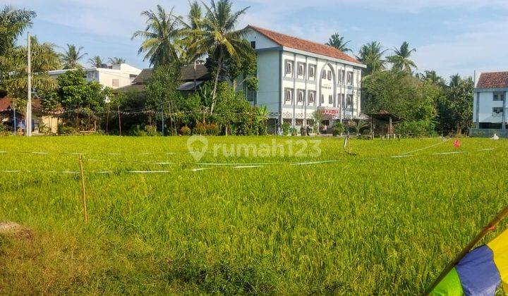 View Sawah Nyaman Hunian Barat Sleman Shmp 2