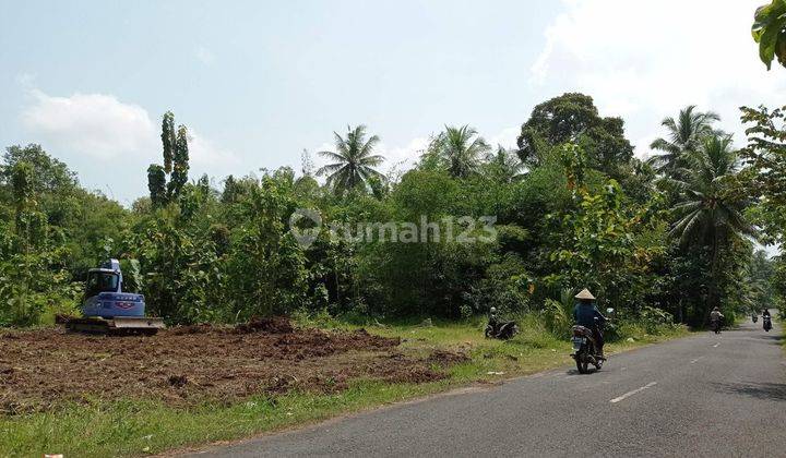 Kesempatan Investasi Tanah di Jogja Dijual Cepat 2