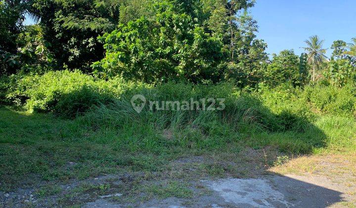 Jual Tanah Kavling, 1,5 Km Gkj Wates Kulonprogo, Tepi Jalan Raya 5