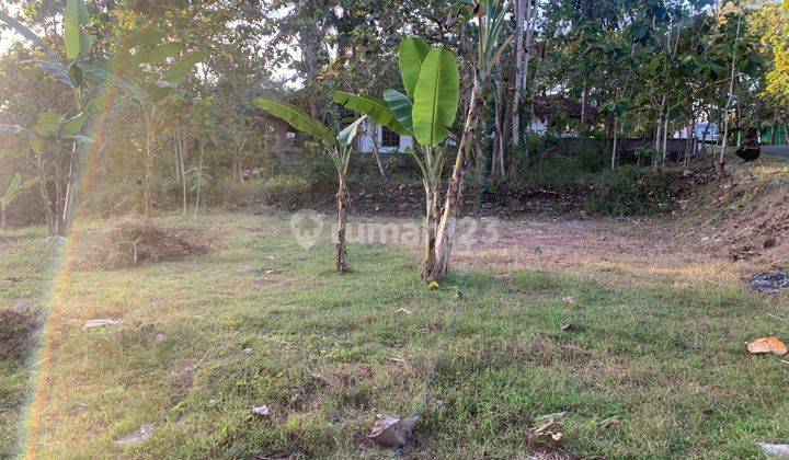 15 Menit Bandara YIA Dijual Tanah Kavling, SHM Pecah Unit 2