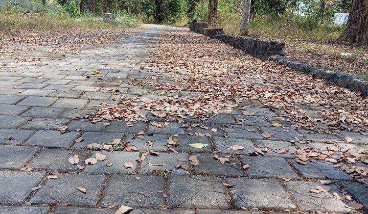 Tanah Luas di Jogja, Pilihan Tepat Untuk Hunian Keluarga  2