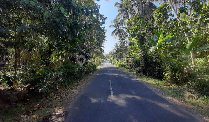 Investasi Tanah di Jogja, Nilai Tumbuh Tertinggi 1