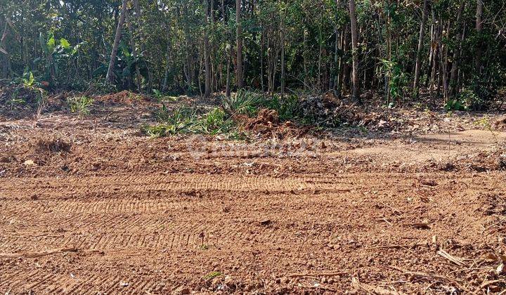 Baras Pasar Godean, Lokasi Premium Dengan Potensi Tinggi 1