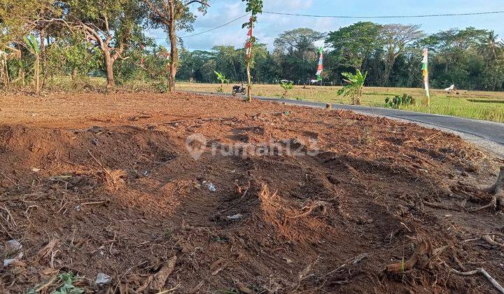 Tanah Murah Barat Pasar Godean View Sawah Luas 2