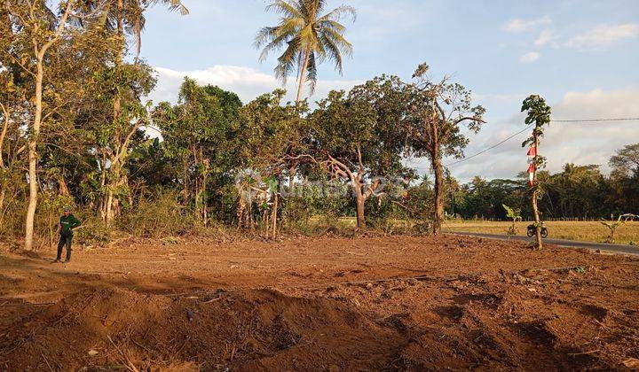 Lokasi Strategis 2 Menit Jl Godean View Sawah  1