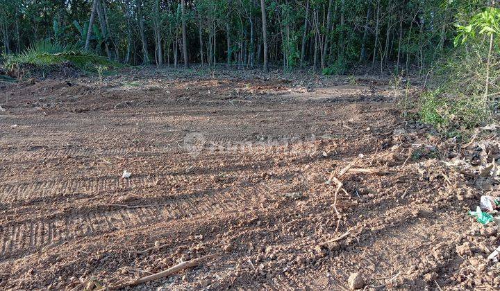 Lokasi Strategis 2 Menit Jl Godean View Sawah  2