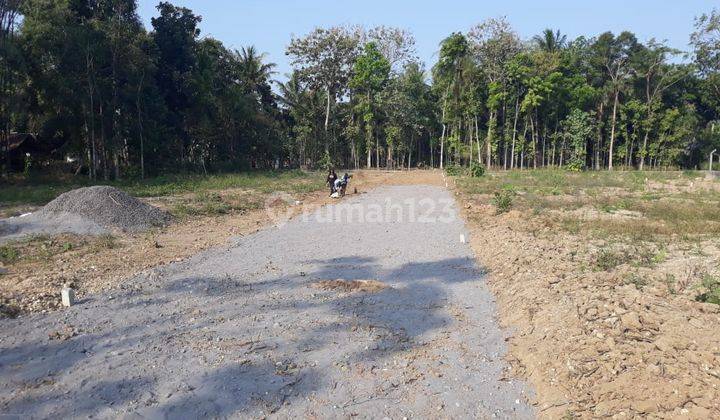 Tanah Murah di Tawangsari, Wates Kota SHM Pecah, Siap Bangun 1