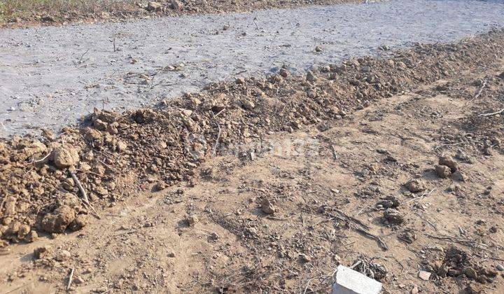 Tanah Murah di Tawangsari, Wates Kota SHM Pecah, Siap Bangun 5
