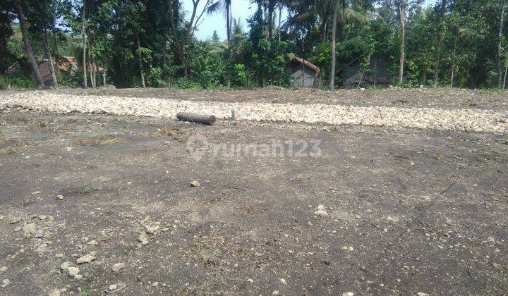 Timur Bandara Jogja, Kapling SHM di Wates Luas 140an 5
