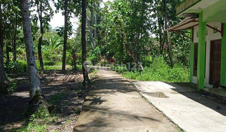 Area Wates Kota, Tanah 1 Jt An di Jogja SHM Luas 400an 5