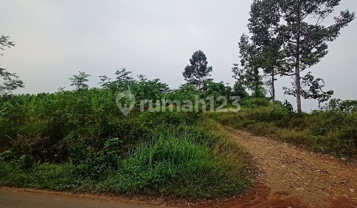 Jual Murah 1 Hamparan 11 Hektar Zona Industri Serang Banten